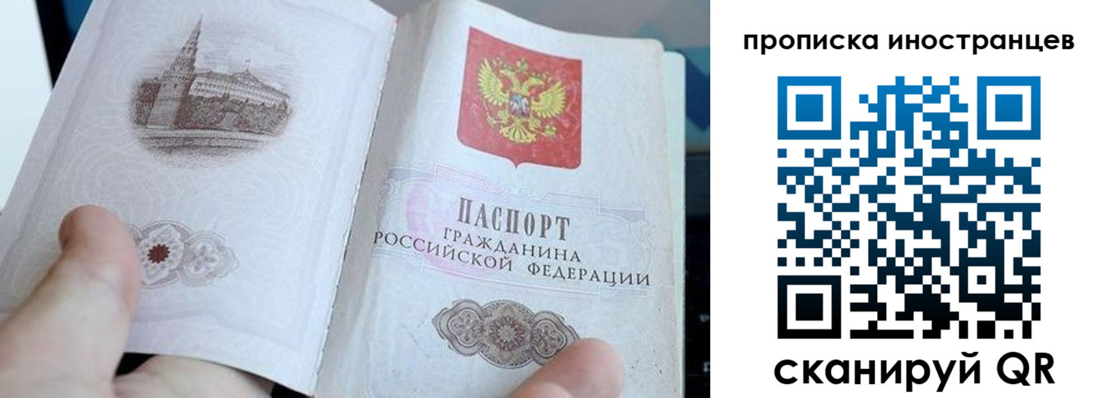 прописка поиск в Кирсанове
